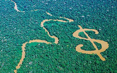 LES FINANCIERS VERTS