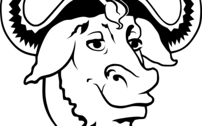 LE LOGICIEL LIBRE DANS UNE SOCIÉTÉ DE SURVEILLANCE