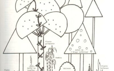 LA PERMACULTURE ET LES ENJEUX ALIMENTAIRES partie 1