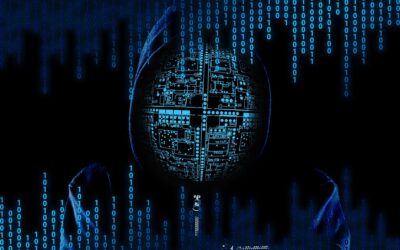 LES ORGANISATIONS CYBER-MALVEILLANTES